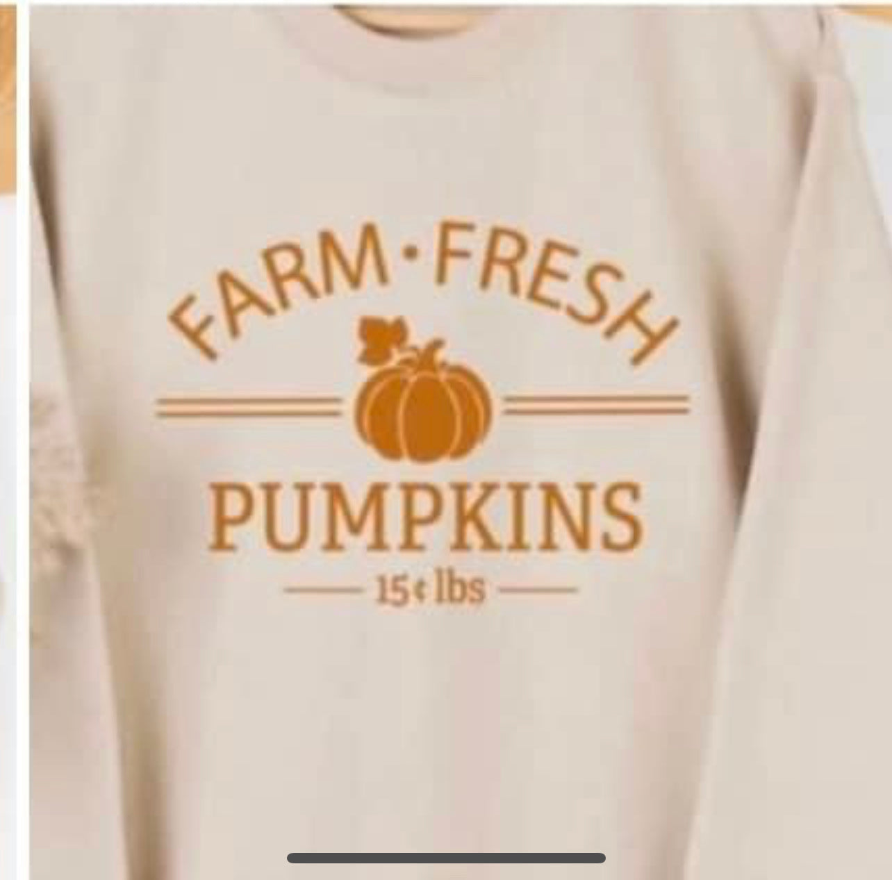Fall Themed Sweatshirts